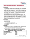 Activity 5.1.5: Bacterial Identification Introduction