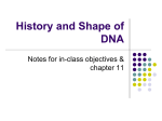 History and Shape of DNA