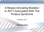 A Mosaic Activating Mutation in AKT1 Associated With The Proteus