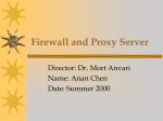 Firewall and Proxy Server