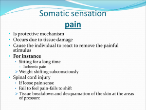 Somatic sensation pain
