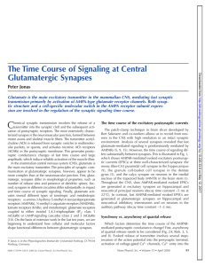 The Time Course of Signaling at Central Glutamatergic