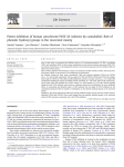 Potent inhibition of human cytochrome P450 3A isoforms