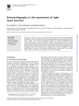 Echocardiography in the assessment of right heart function