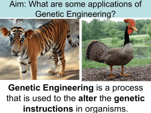 genetic engineering 2 - Hicksville Public Schools