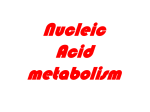 Nucleic Acid metabolism De Novo Synthesis of Purine