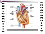 Pericarditis and endocarditis