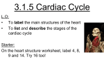 Cardiac Cycle - misslongscience