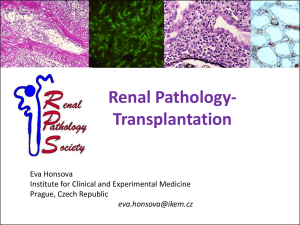 Renal Pathology- Transplantation