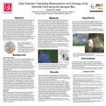 Data Collection: Recording Metamorphism and Lithology at the