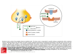 Slide () - AccessEmergency Medicine