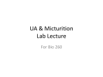 UA Lab/Lecture File