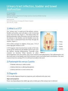 Urinary tract infection, bladder and bowel dysfunction