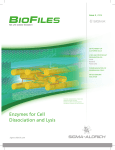 Enzymes for Cell Dissociation and Lysis - Sigma