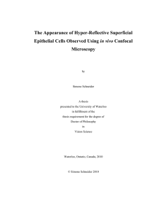 The Appearance of Hyper-Reflective Superficial Epithelial Cells