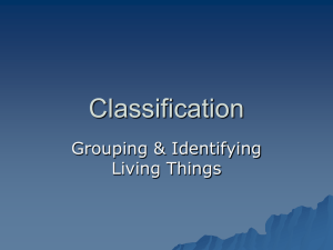 Classification