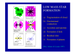 LOW MASS STAR FORMATION