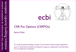 Negotiation Indices - European Capacity Building Initiative