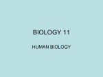 Cellular Biology I