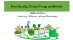 Food Security, Climate Change and Biofuels: Role of Policy and
