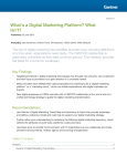 What`s a Digital Marketing Platform? What Isn`t?