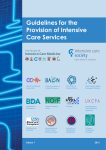 Guidelines for the Provision of Intensive Care Services
