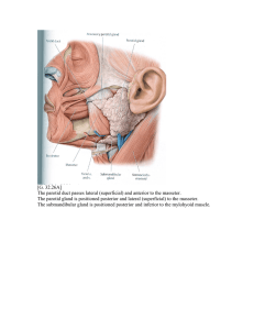 [G. 32.26A] The parotid duct passes lateral (superficial) and anterior
