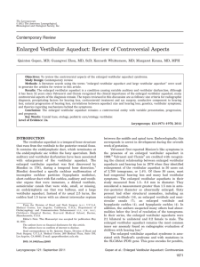 Enlarged vestibular aqueduct: Review of controversial aspects