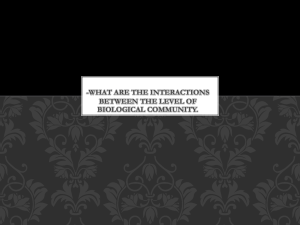 -what are the interactions between the level of biological community.