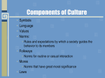 Cultural Universals