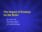 The Impact of Ecstasy on the Brain