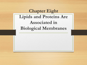 Chapter Eight Lipids and Proteins Are Associated in Biological