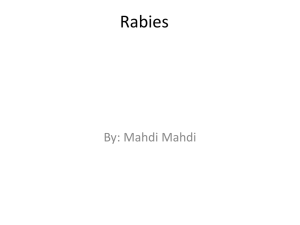 Rabies - Mrs. Alfred
