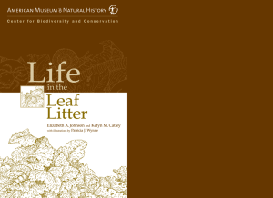 Leaf Litter bk - American Museum of Natural History