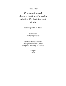 Construction and characterisation of a multi- deletion