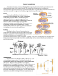 Advantages and Disadvantages of Asexual Reproduction