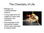 SBI4U1.1Chemistry of Life