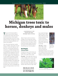 Michigan trees toxic to horses, donkeys and mules