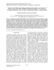 effects of western mosquitofish (gambusia affinis)