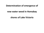 Determination of emergence of new water weed in Homabay shores