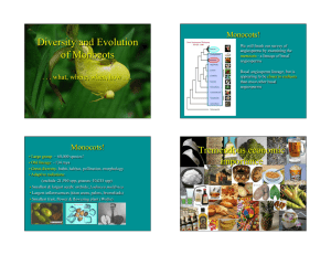 Diversity and Evolution of Monocots