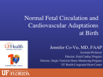 Normal Fetal Circulation and Cardiovascular Adaptations at Birth