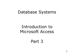 MS Access Database