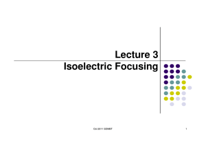 Lecture 3 Isoelectric Focusing