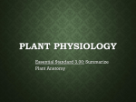 Plant Parts and their Functions