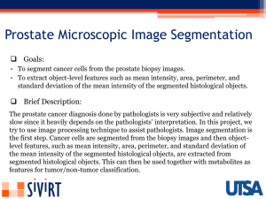 Prostate Microscopic Image Segmentation