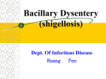 Bacillary Dysentery (shigellosis)