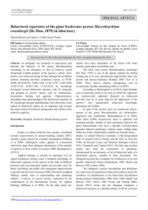 Behavioral repertoire of the giant freshwater prawn Macrobrachium