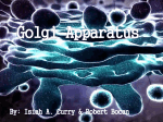 What is the Golgi Apparatus?