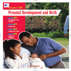 Chapter 19: Prenatal Development and Birth